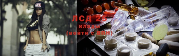 ГАЛЛЮЦИНОГЕННЫЕ ГРИБЫ Алексин