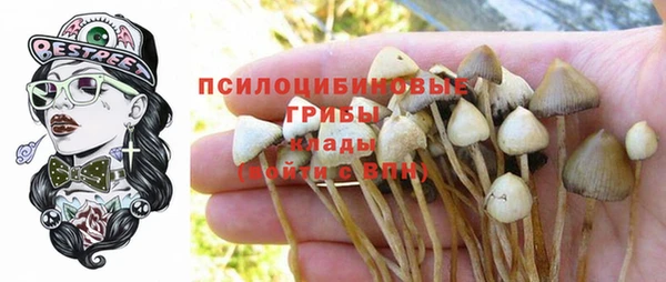 MESCALINE Алзамай