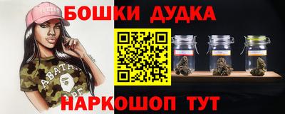 2c-b Кингисепп