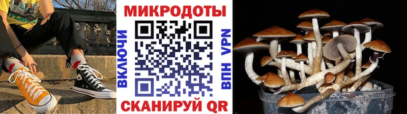 сайты даркнета как зайти  Коркино  Галлюциногенные грибы GOLDEN TEACHER  продажа наркотиков 