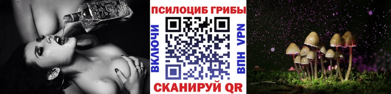 Псилоцибиновые грибы прущие грибы Коркино