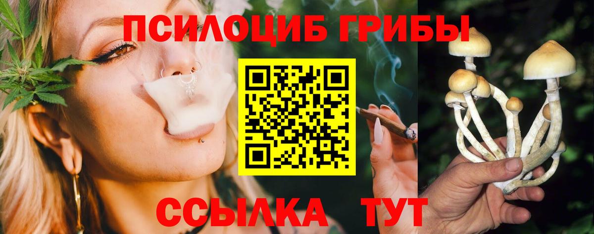 Псилоцибиновые грибы GOLDEN TEACHER  Псилоцибиновые грибы MAGIC MUSHROOMS  Вход с VPN  Коркино 